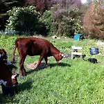劳德斯嘉德公寓 公寓 福堡