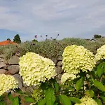 公寓 劳德斯嘉德公寓