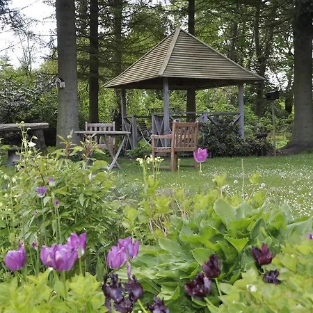 Daire Lundsgaard Fåborg