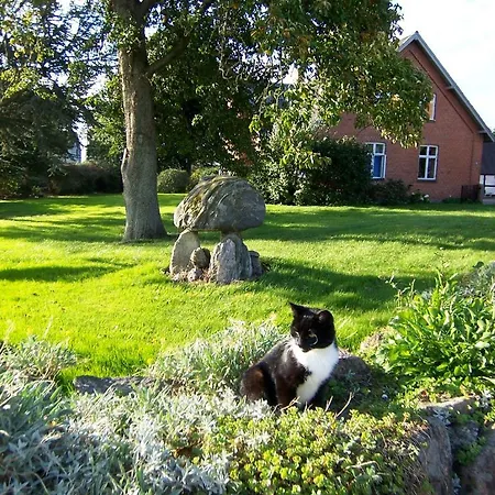 Daire Lundsgaard Fåborg