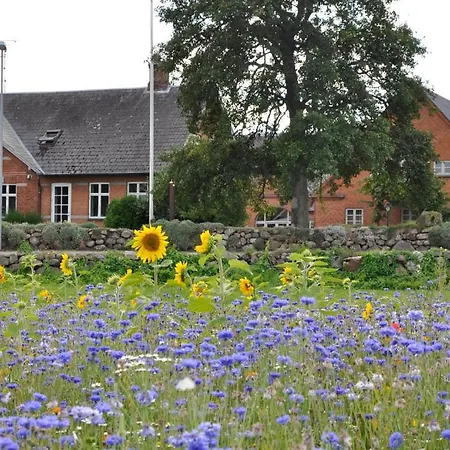 Lundsgaard Daire Fåborg