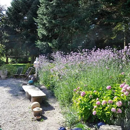 Lundsgaard Daire Fåborg