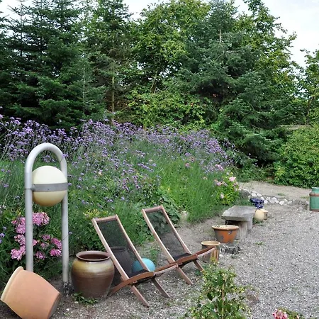 Lundsgaard Daire Fåborg