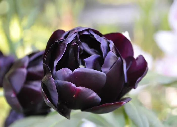 Lundsgaard Apartment Fåborg