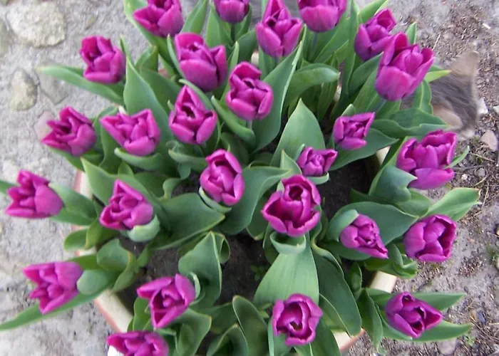 Lundsgaard Apartamento