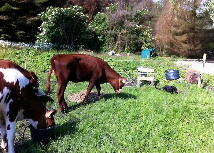 Lundsgaard Apartment Fåborg