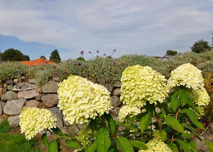 Apartamento Lundsgaard