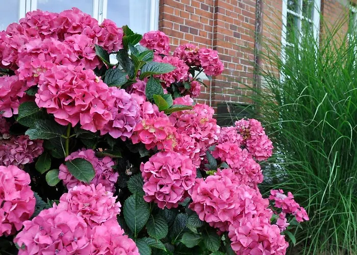 Lundsgaard Apartamento Fåborg