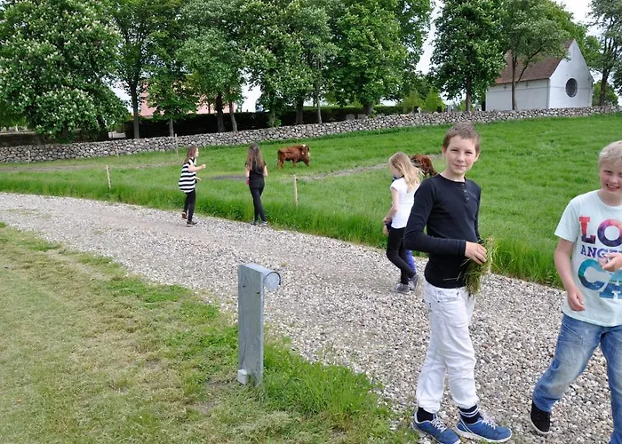 Lundsgaard * Fåborg