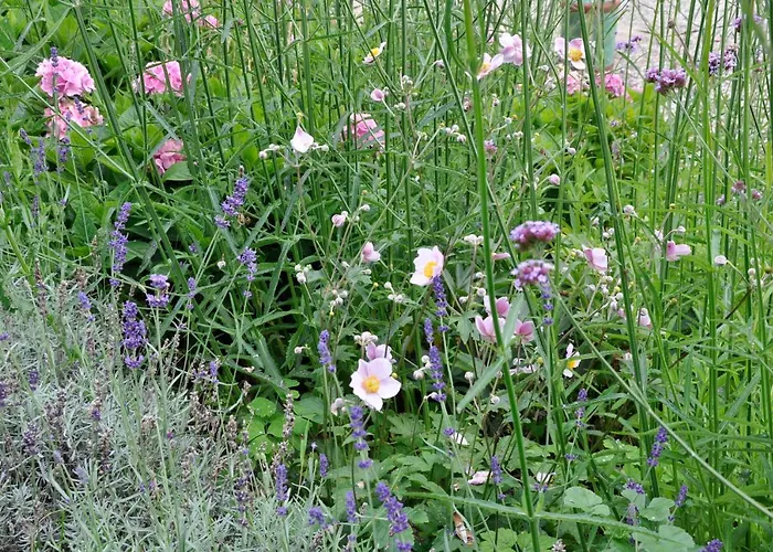 Apartamento Lundsgaard *